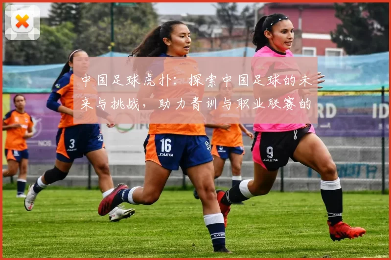 中国足球虎扑：探索中国足球的未来与挑战，助力青训与职业联赛的全面发展